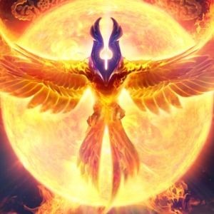 Meet your Posher, Connor